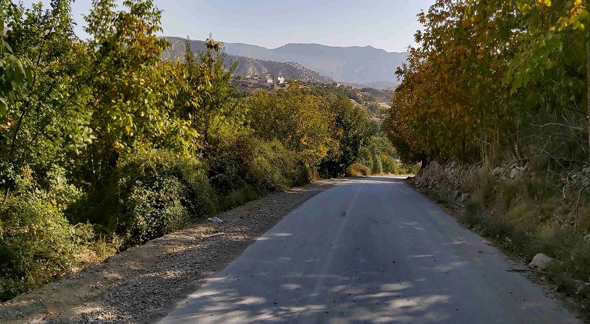 طبیعت تابستان ایلام دیاکو سایت